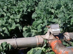 Irrigation System Membrane Switch